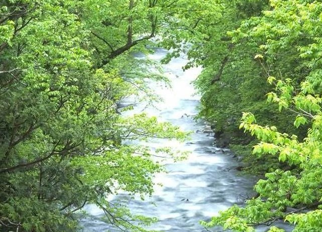 [宜賓]芙蓉山