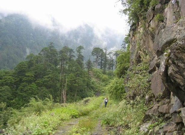 [樂山]大風頂